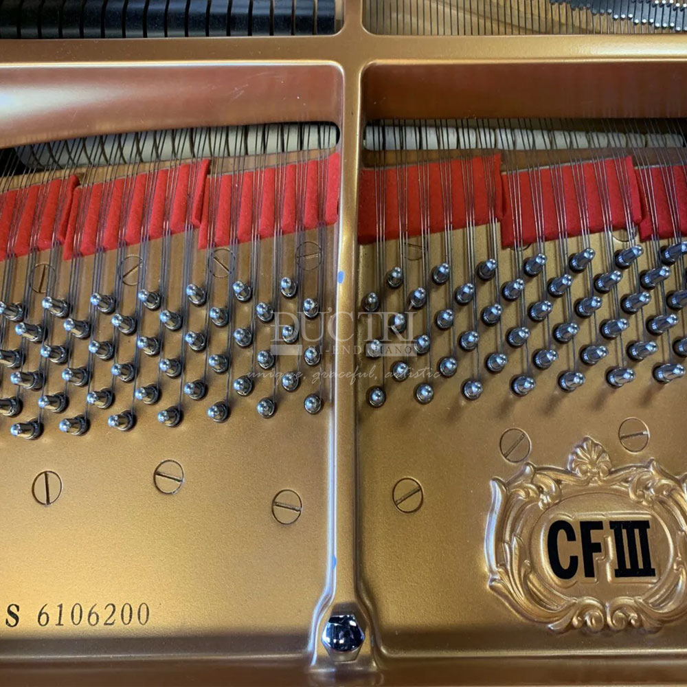 Số seri Yamaha CFIIIS