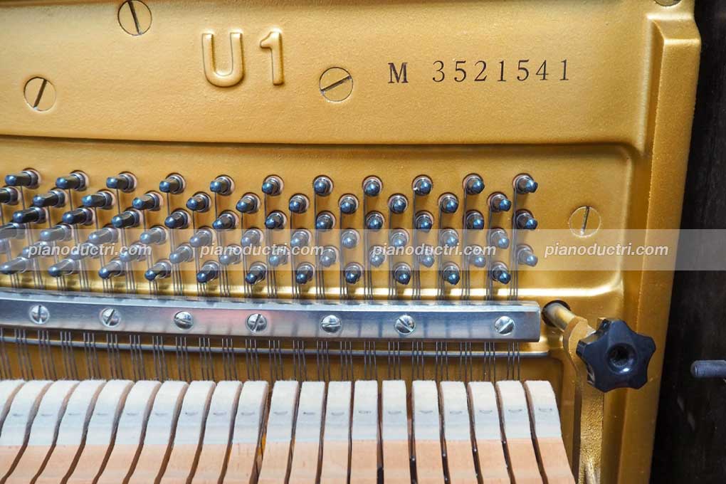 Số seri đàn piano Yamaha U1M