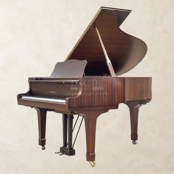 Đàn Grand Piano Yamaha-C3B-Walnut