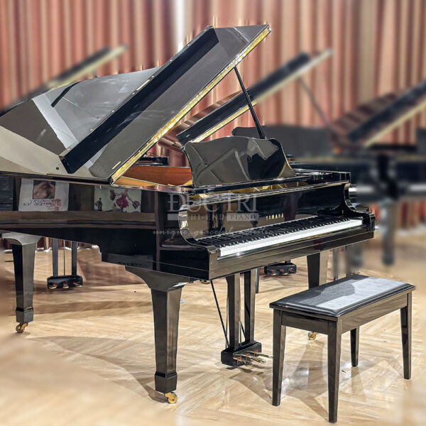 Yamaha C5B piano đức trí