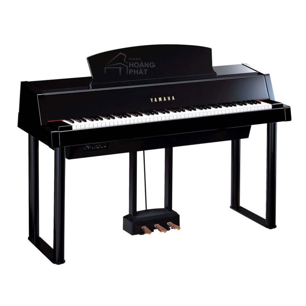 Yamaha DGP5