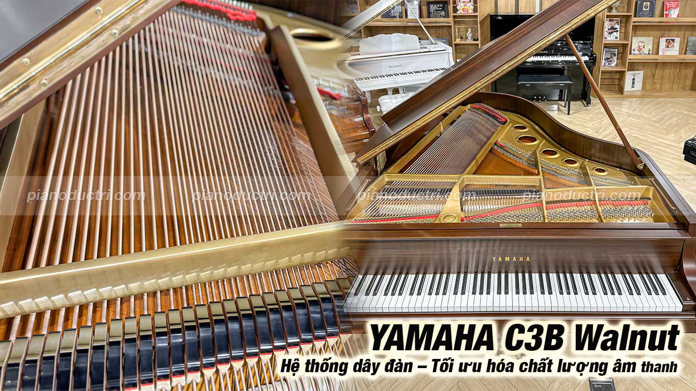 Đàn Grand Piano Yamaha C3B Walnut Giá tốt tại Piano Đức Trí