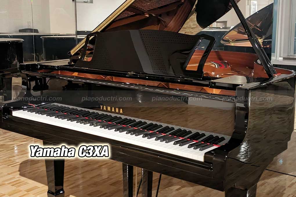 Đàn Piano Yamaha C3XA tại piano Đức Trí
