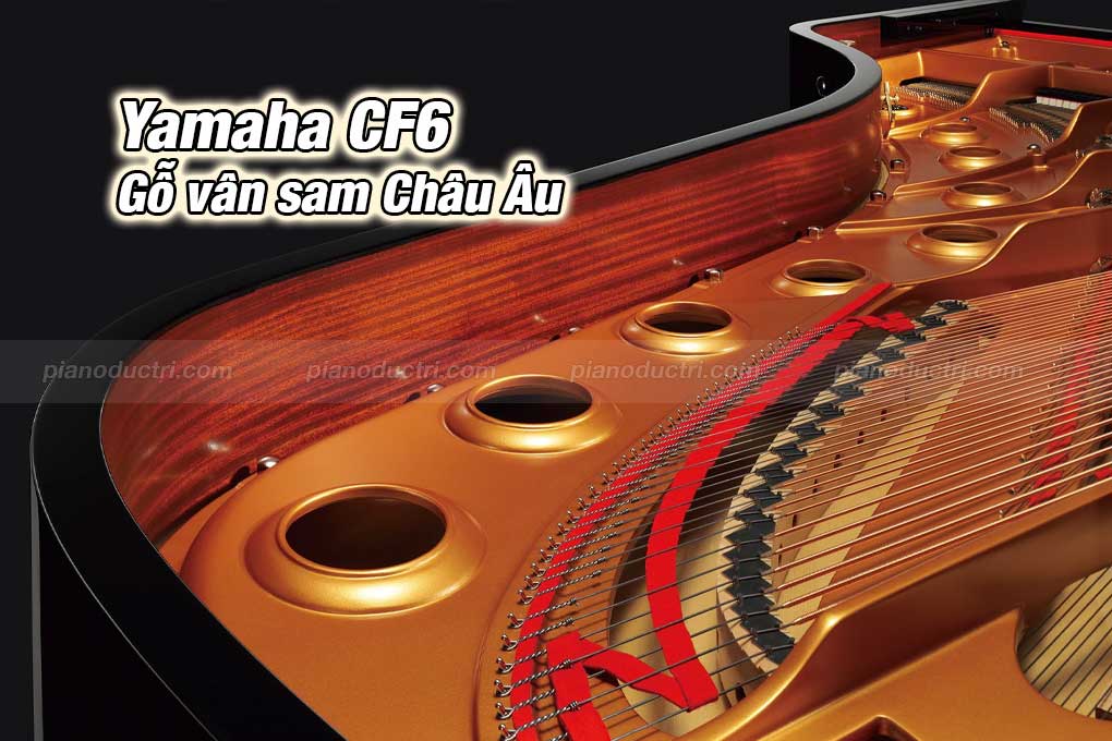 Banner Yamaha CF6
