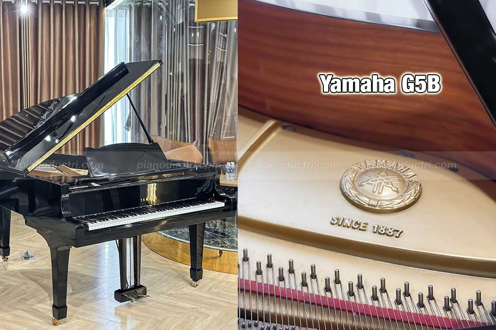 Banner Yamaha G5B