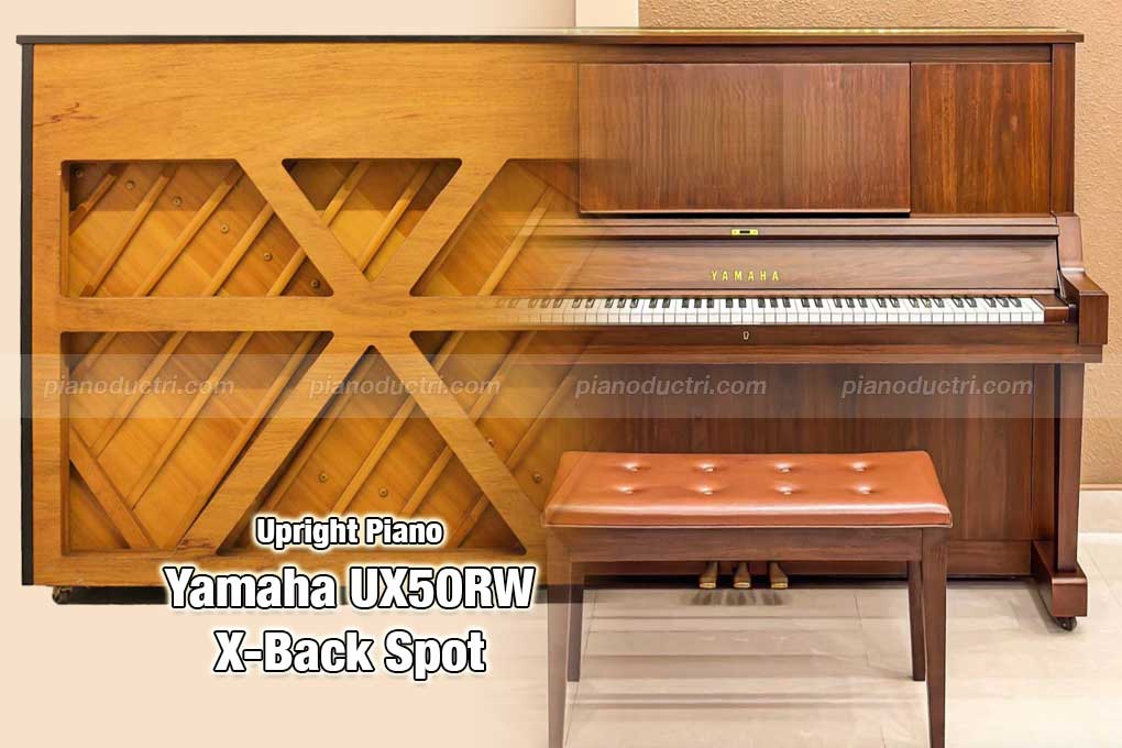 Khung lưng x-back post Yamaha Ux50RW