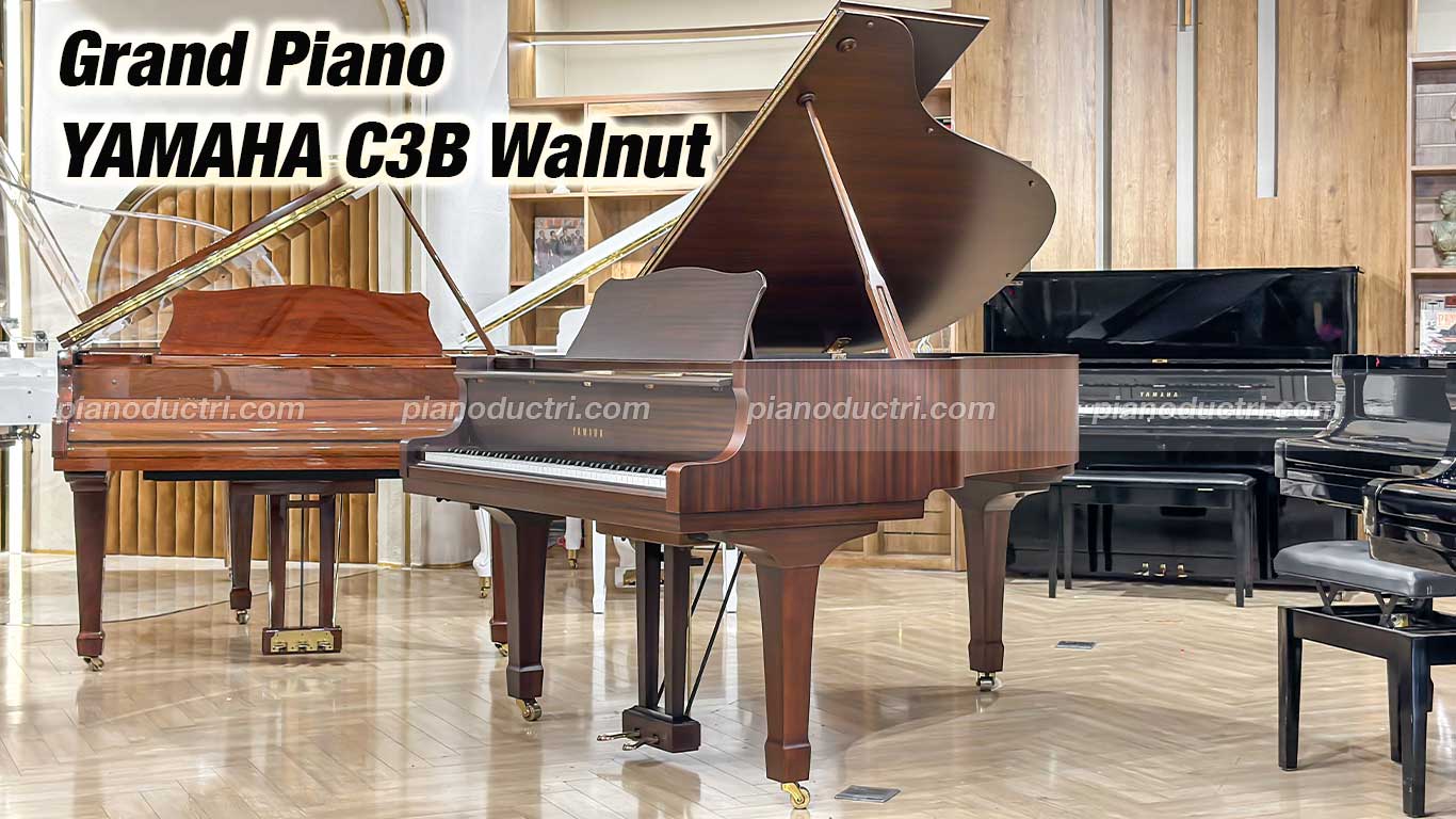 Đàn Grand Piano Yamaha C3B Walnut cao cấp tại Piano Đức Trí