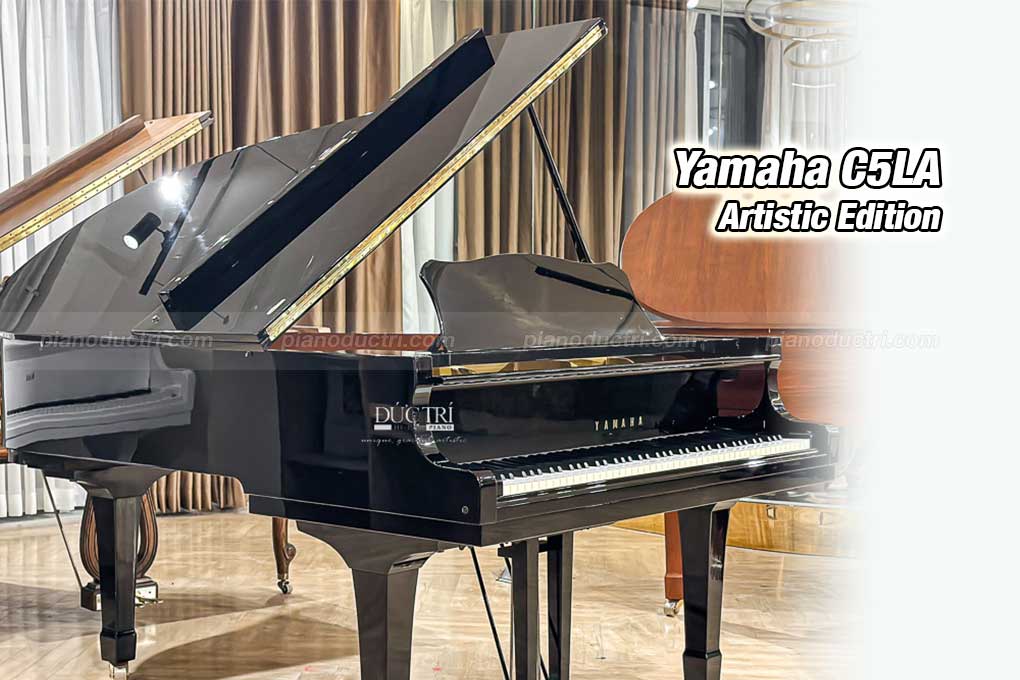 Banner Yamaha C5LA