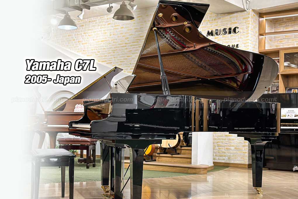 Banner Yamaha C7L