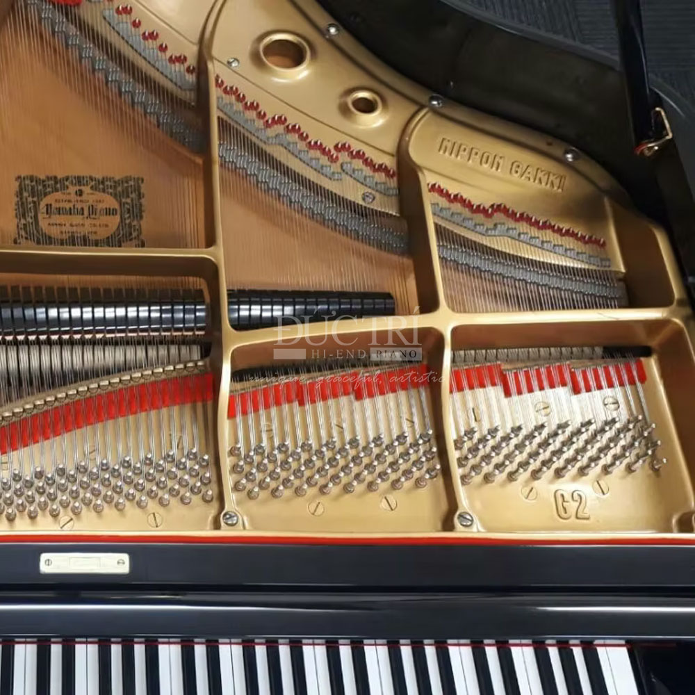 số seri và frame gang Yamaha G2D