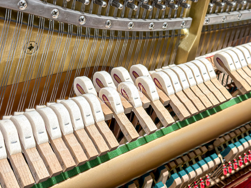 Đàn Piano Yamaha W1ABiC Cao Cấp tại Showroom Piano Đức Trí