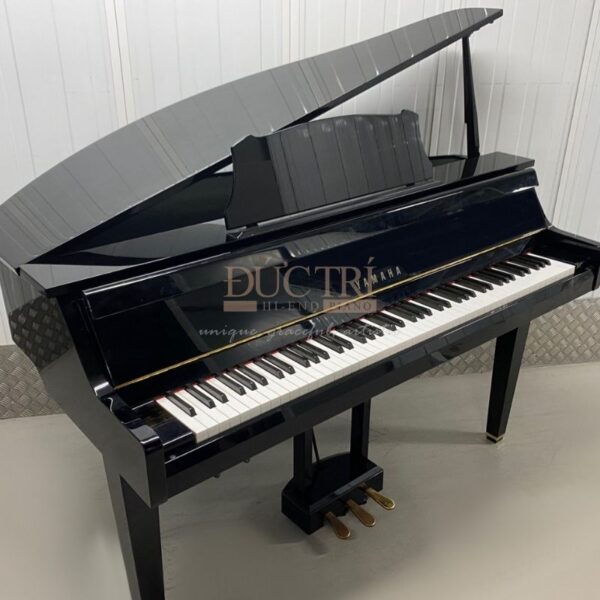 Hình ảnh Đàn Piano Cơ Yamaha G1E Grand
