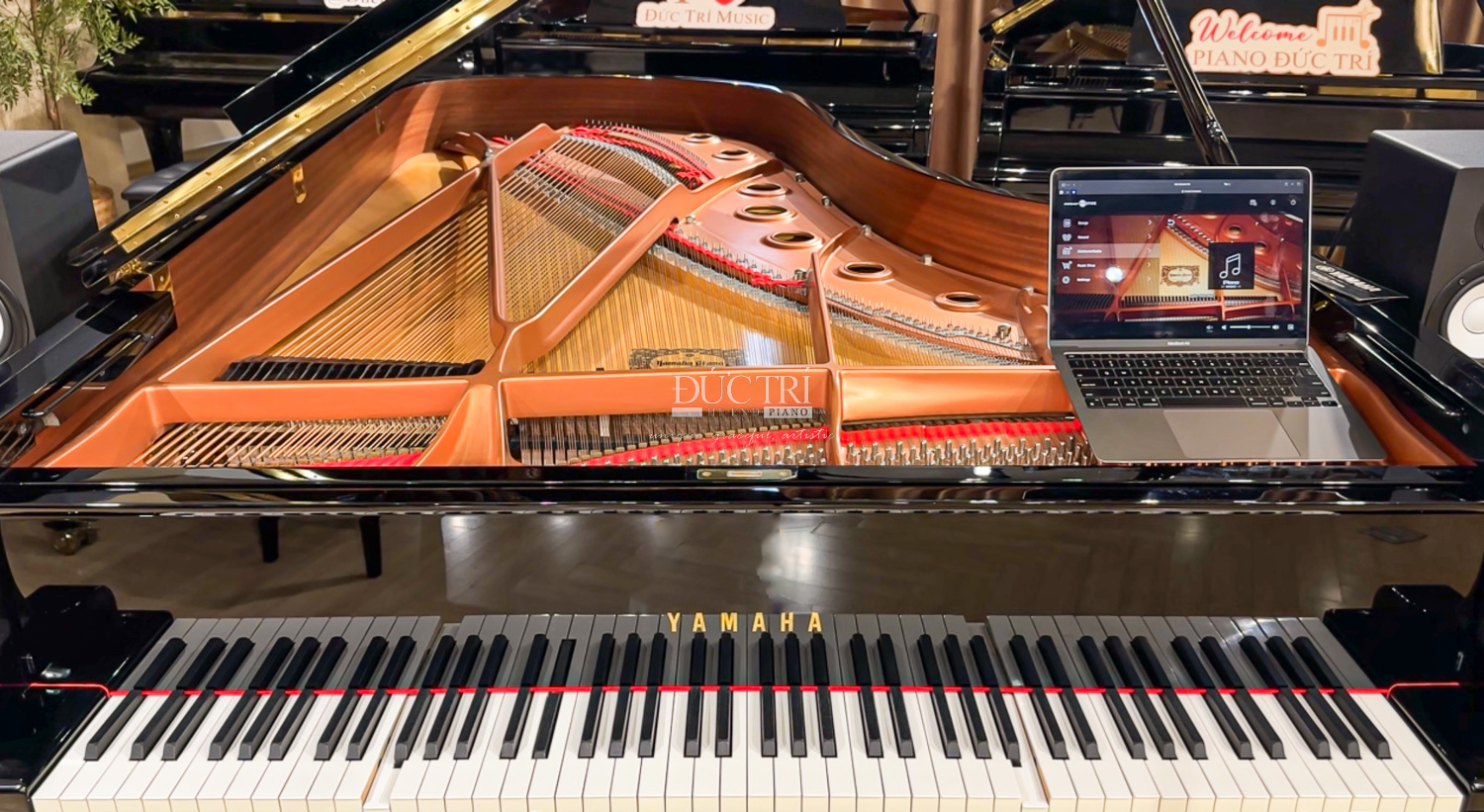 Piano Tu Dong Choi