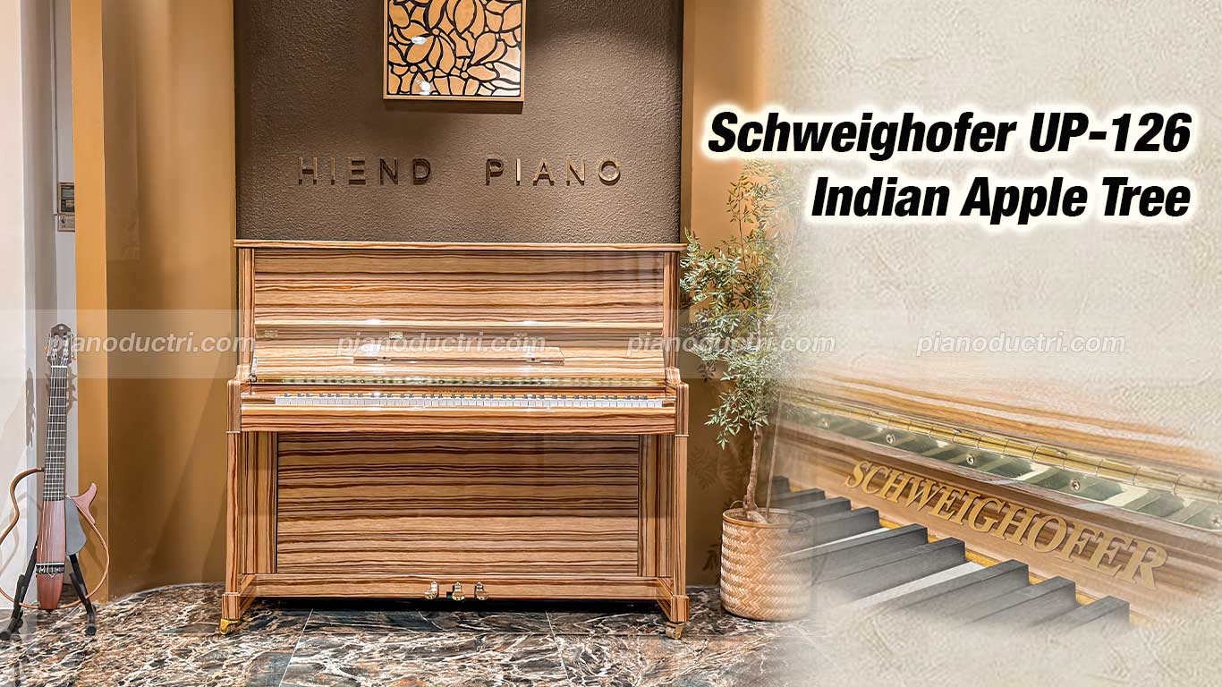 Đàn piano Schweighofer up126 cao cấp tại Piano Đức Trí