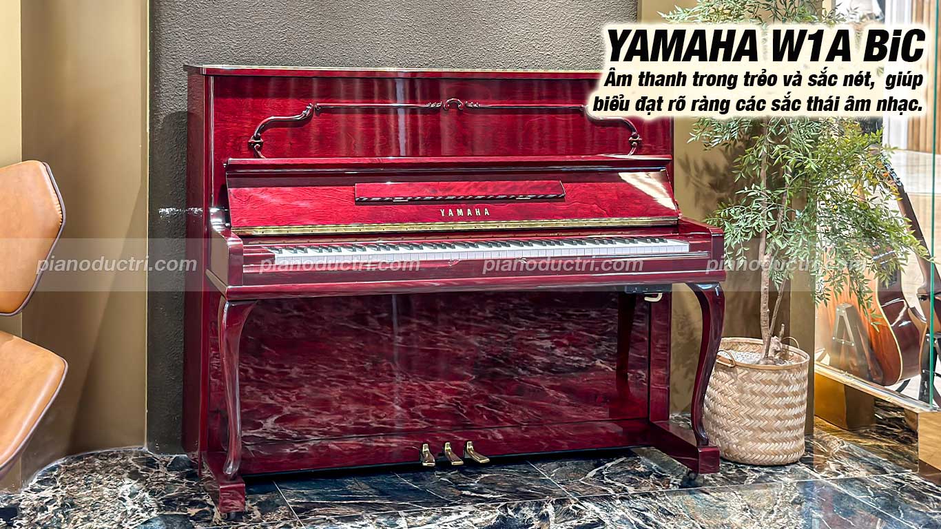 Đàn Piano Yamaha W1ABiC Cao Cấp tại Showroom Piano Đức Trí 