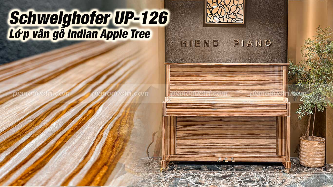 Đàn piano Schweighofer up126 cao cấp tại Piano Đức Trí