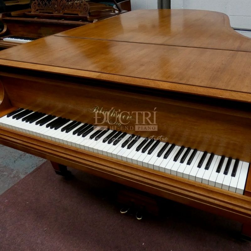 Hình ảnh bàn phím Đàn Piano Bluthner 279