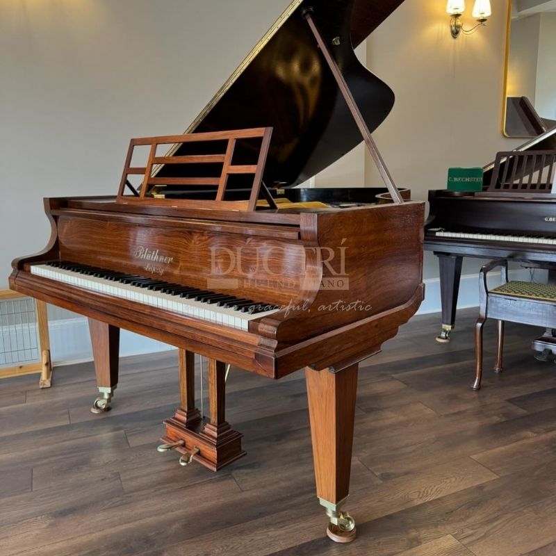 Hình ảnh của đàn Piano Bluthner 279