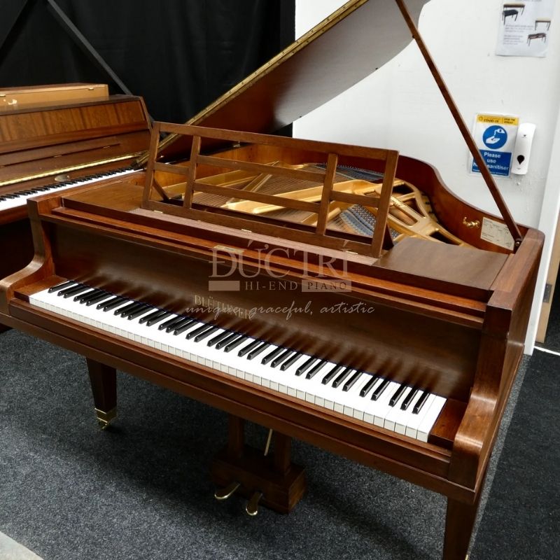 Hình ảnh trực diện của Đàn Piano Bluthner 279