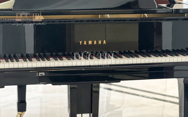 Bàn giao đàn Grand Piano Yamaha G1B Disklavier đến Đồng Nai 5 Logo đàn Đàn piano Yamaha G1B