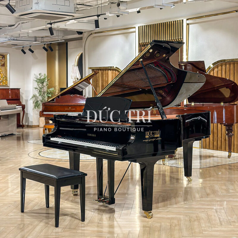 So sánh piano Grand và Upright, nên mua đàn nào? 1 Đàn Grand Piano Yamaha C7B