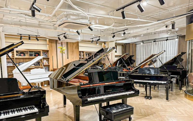Reviews top 5 cửa hàng đàn piano Tân Bình uy tín 2025 1 Những chiếc đàn piano đang được trưng bày tại Showroom của Piano Đức Trí