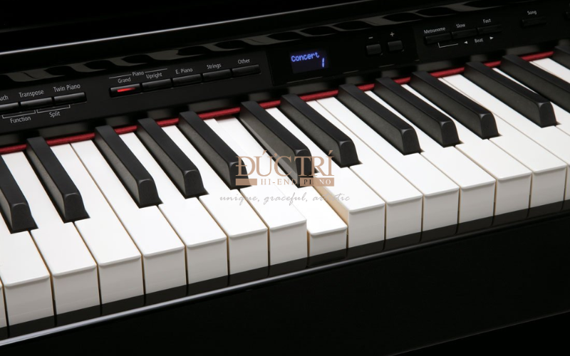 6 lỗi thường gặp ở đàn piano cơ và cách khắc phục 2 Lỗi phím đàn bị kẹt
