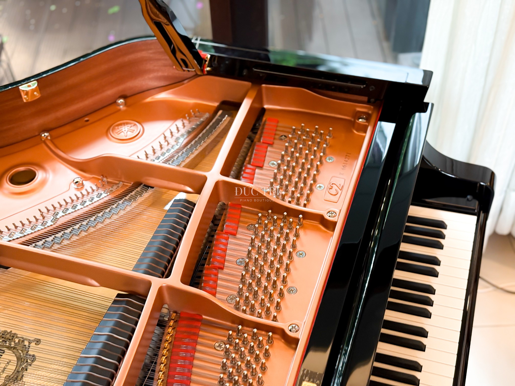 Yamaha DC2X Disklavier 2 Cận cảnh bộ dây, khung cộng hưởng và bàn phím của đàn Yamaha DC2X Disklavier