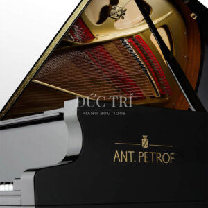 Đàn Grand Piano Ant Petrof 225 Đức Trí Piano Boutique