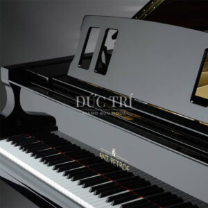 Logo Grand Piano Ant Petrof 225 Đức Trí Piano Boutique