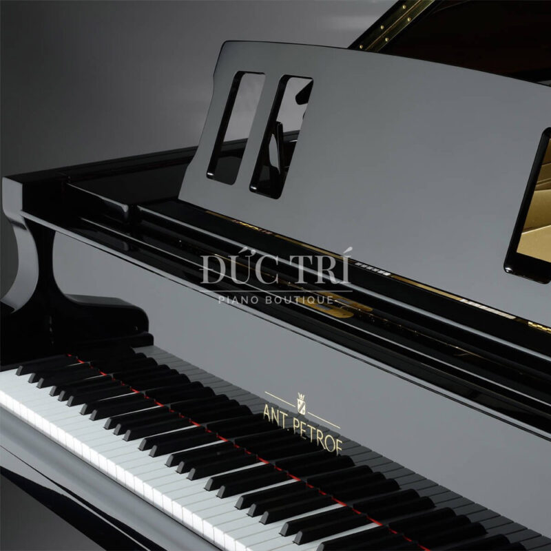 Logo Grand Piano Ant Petrof 225 Đức Trí Piano Boutique