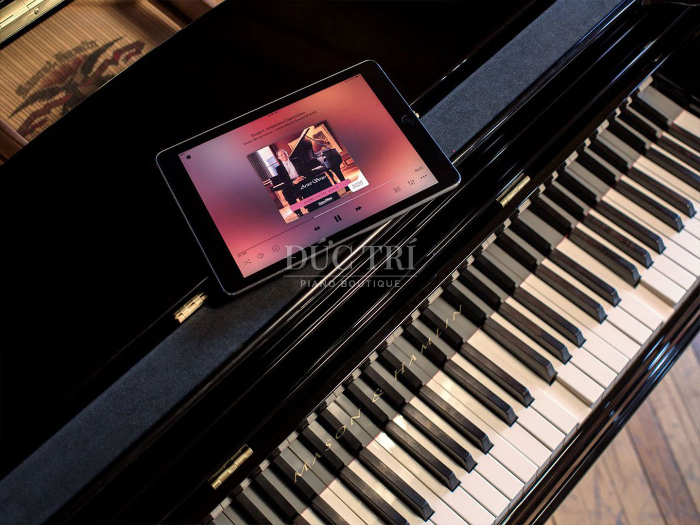 Pianodisc 4 Hệ thống Pianodisc