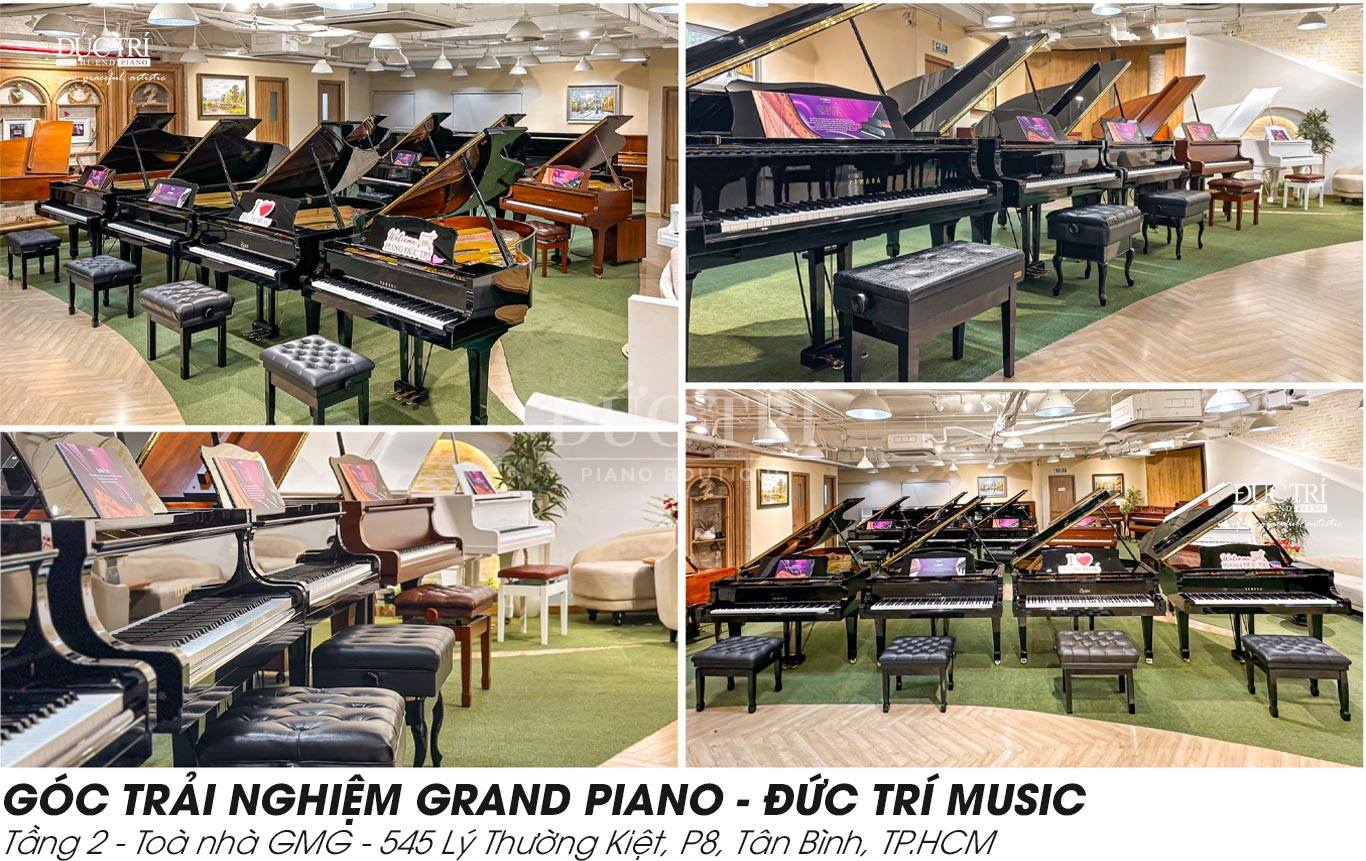 Poco Studio 6 Showroom Đức Trí Piano Boutique